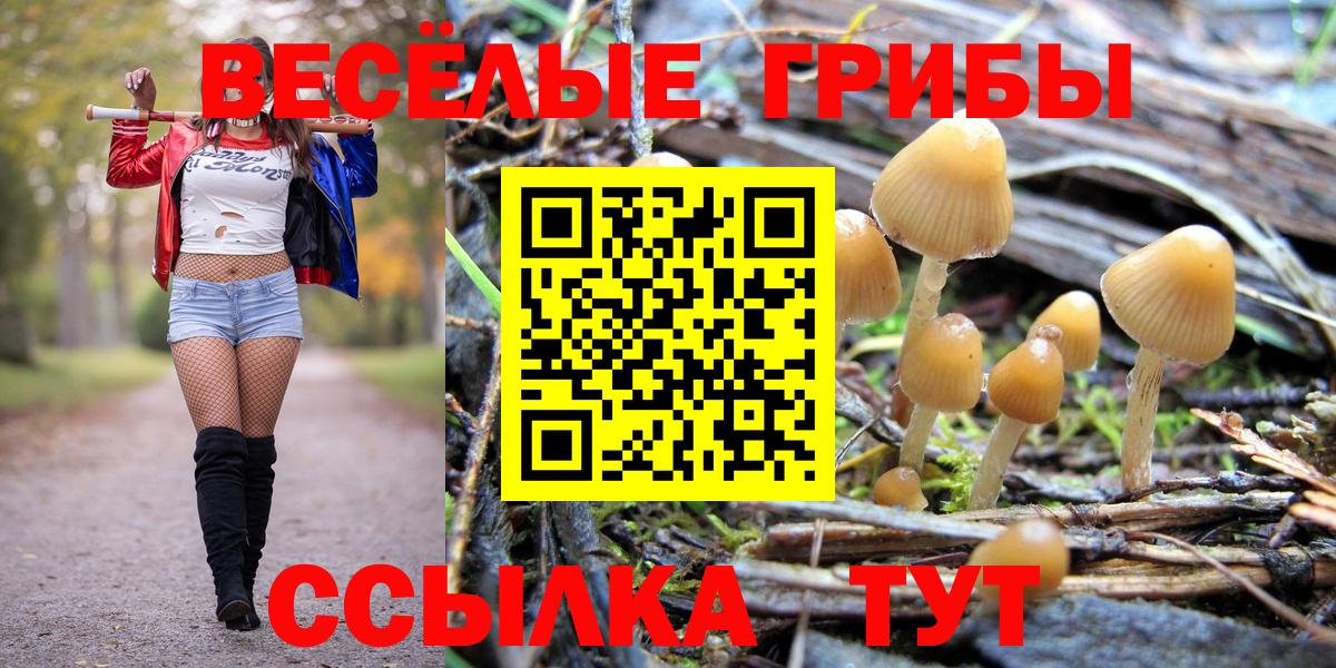 Псилоцибиновые грибы Cubensis  закладки  Чебоксары  Вход с VPN 